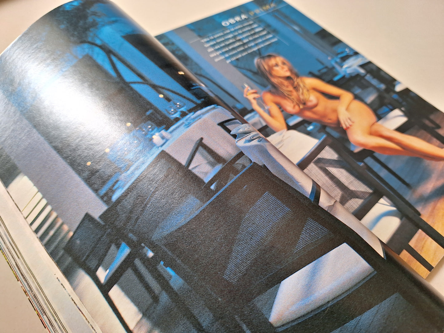 Playboy Nº 325