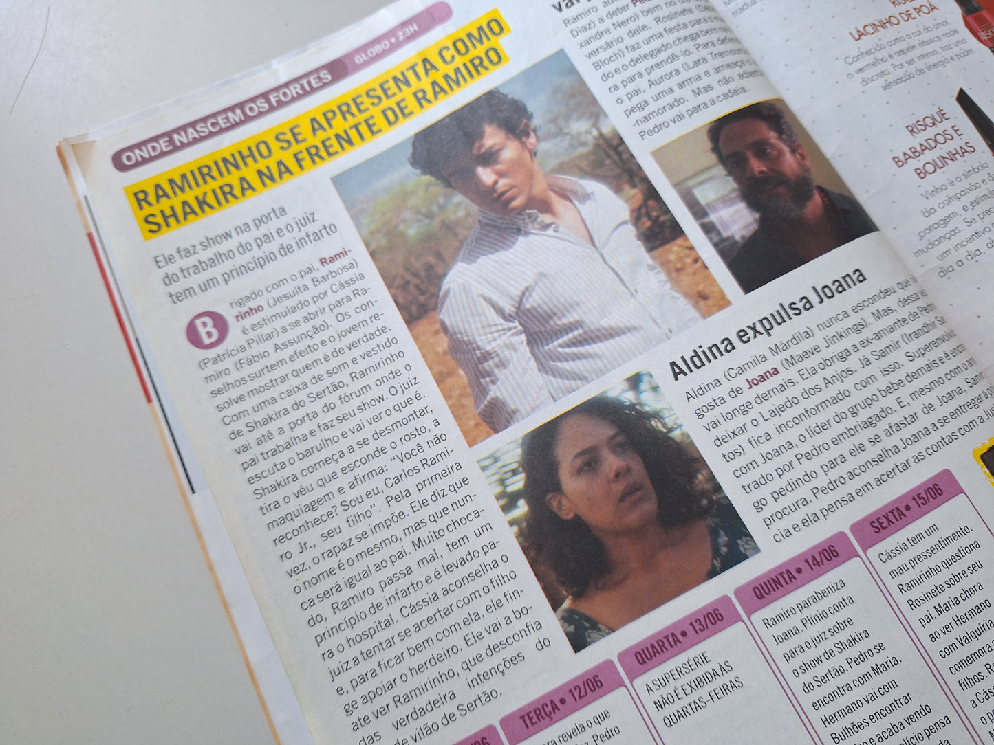 Minha Novela N° 978