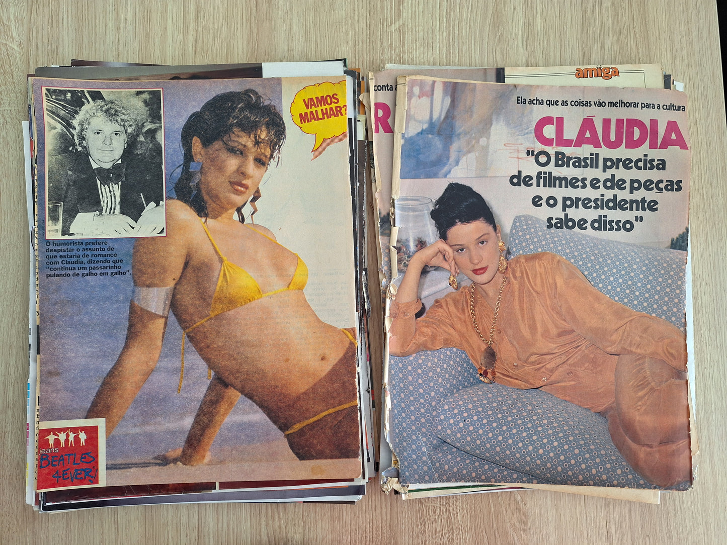 Claudia Raia Material de revistas
