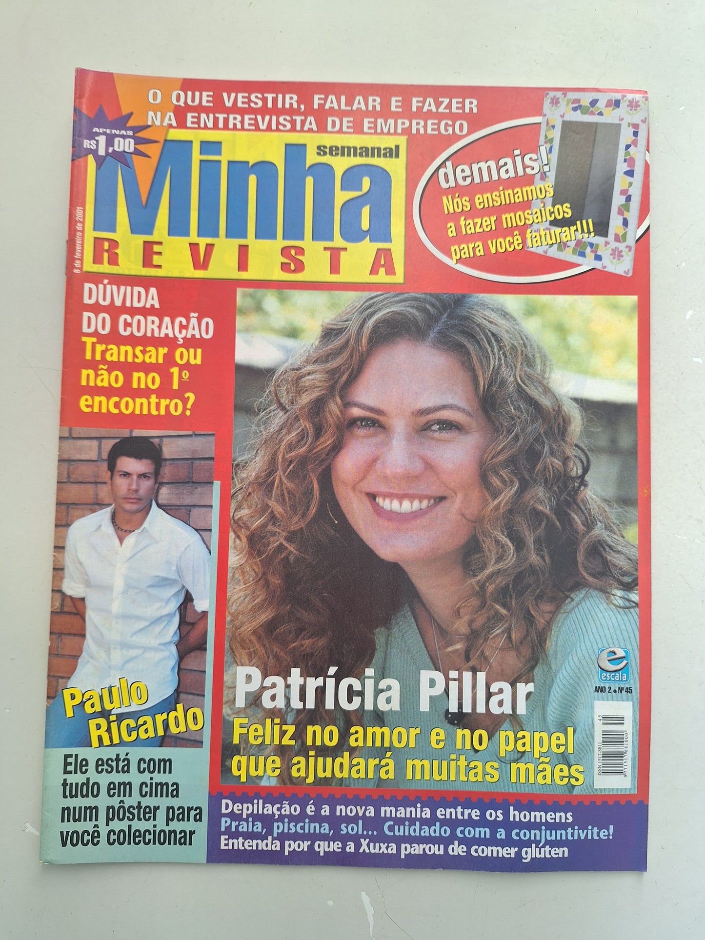 Minha Revista N° 45