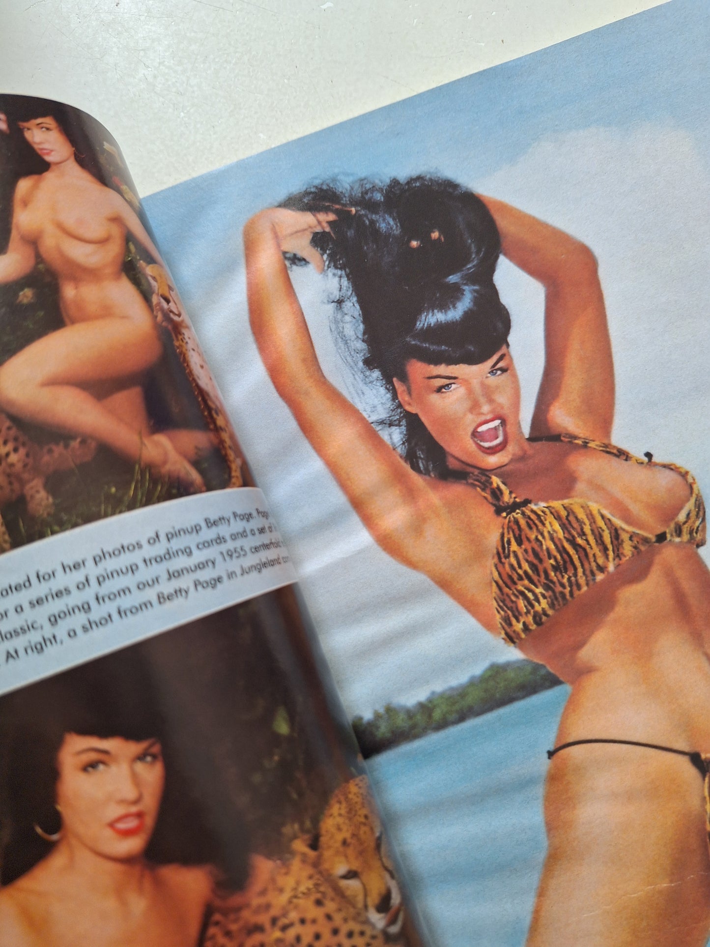Playboy Americana N° 41