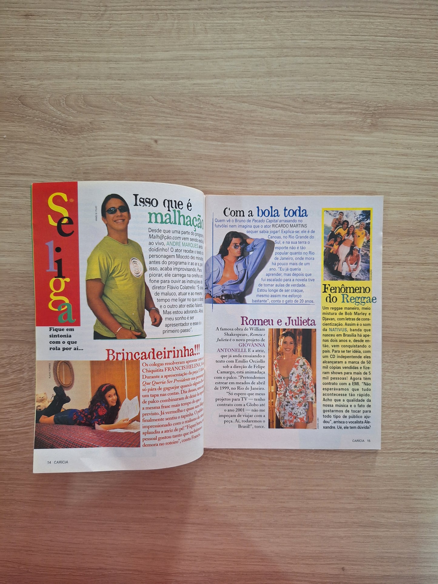 Carícia N° 311 (1998)