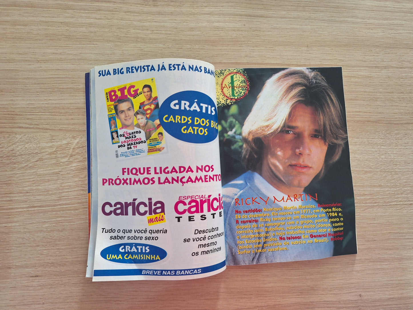 Carícia N° 272 (1996)