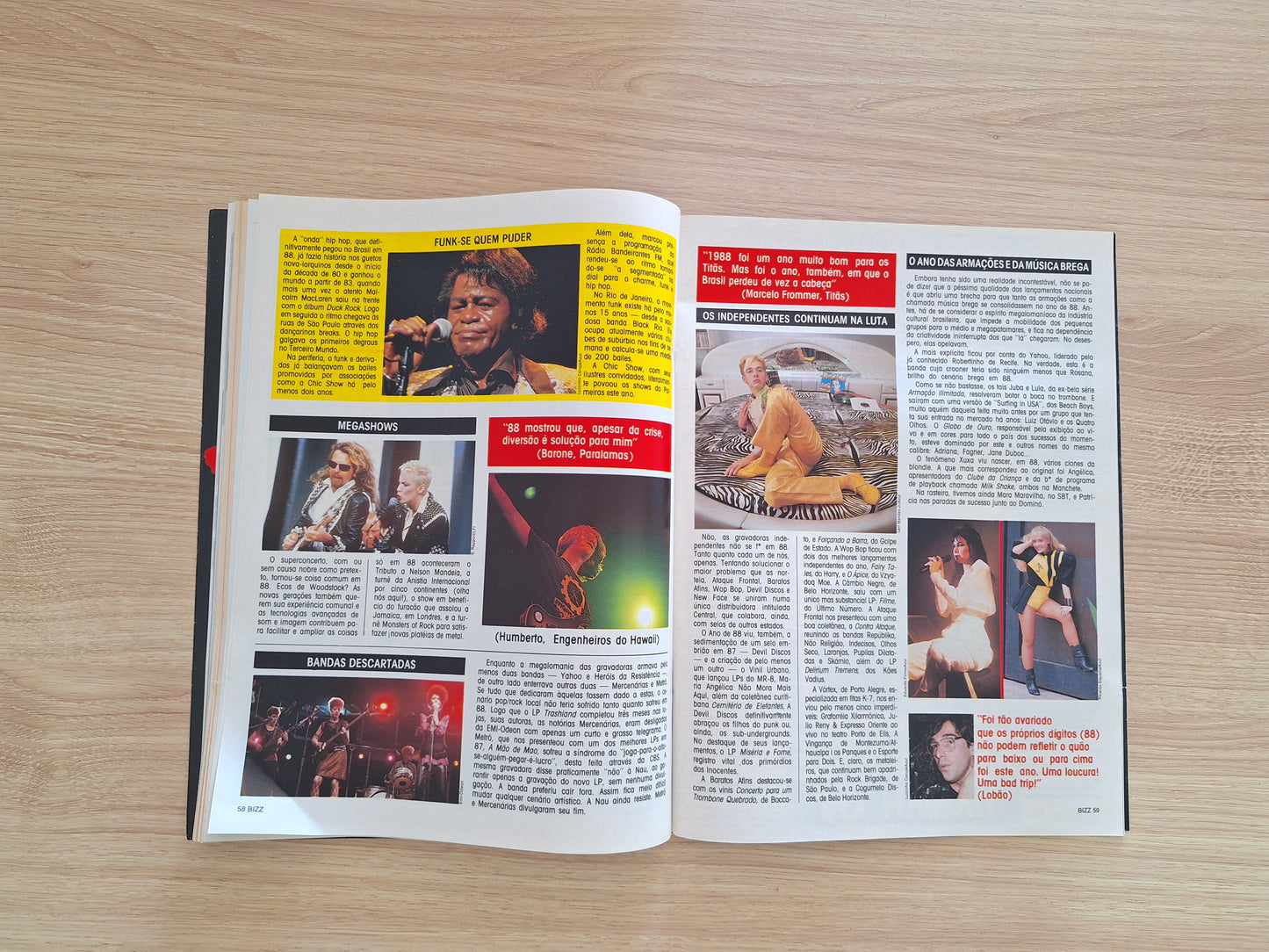 Revista Bizz N° 12