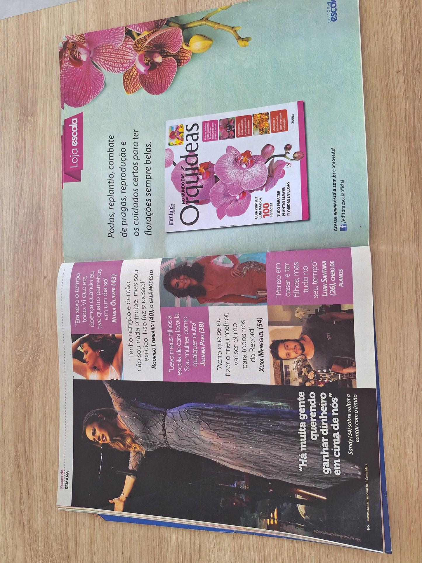 Revista Conta Mais 847