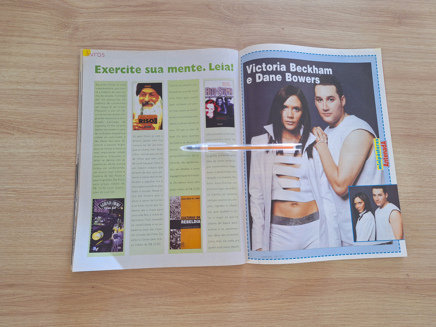 Revista Antenada N° 29