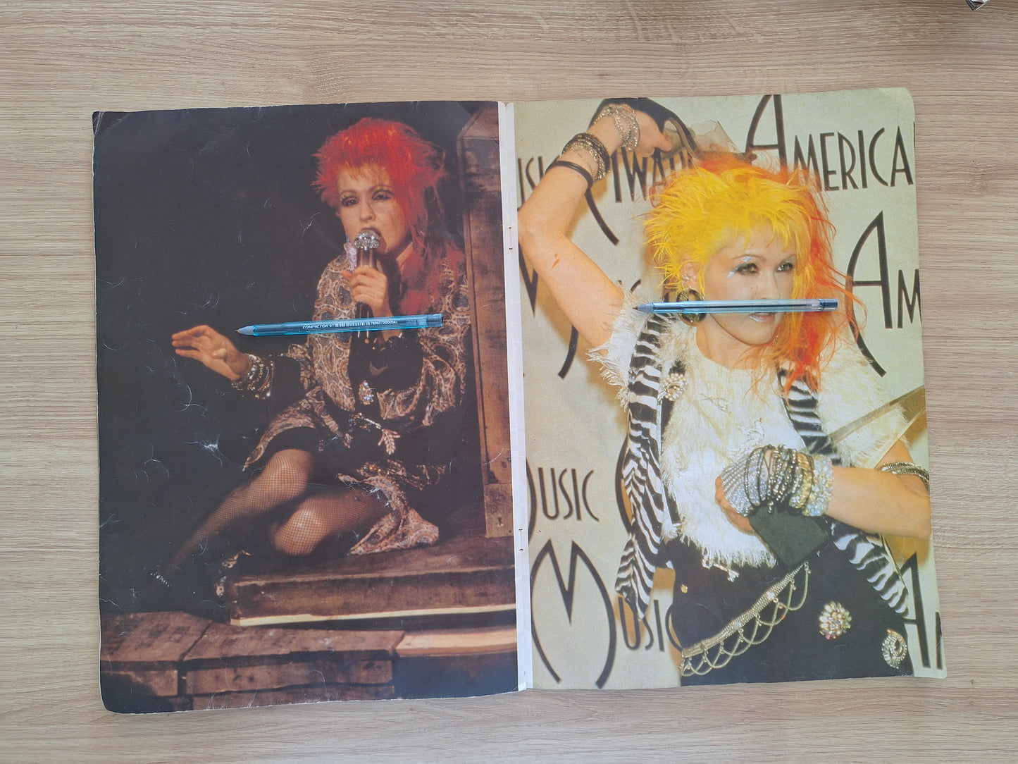 Pôster Book Cyndi Lauper