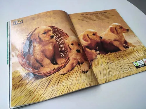 Nosso Cão Nº 18