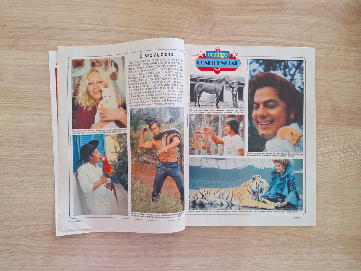 Revista Contigo Nº 226