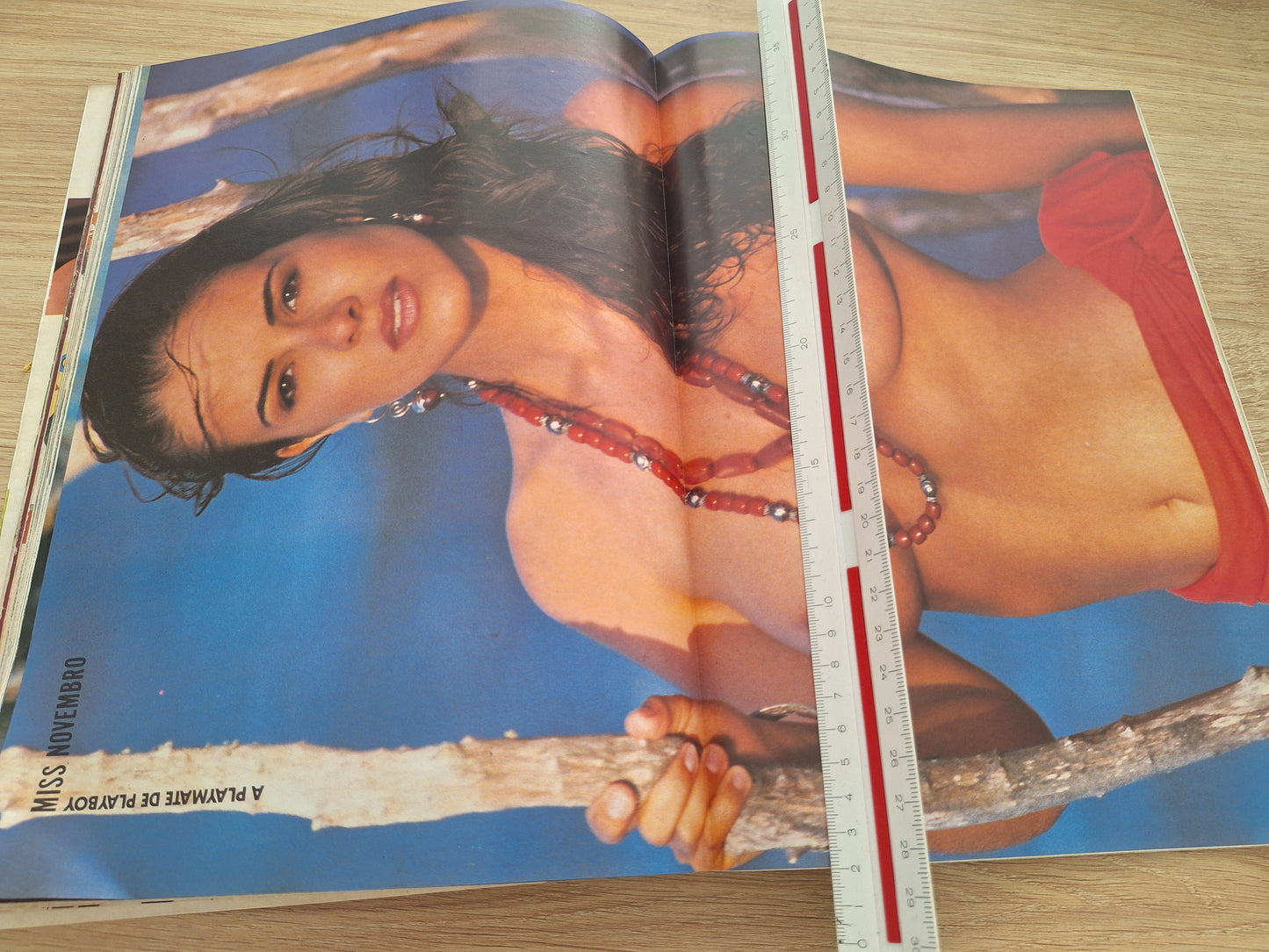 Revista Playboy 208 (1992)