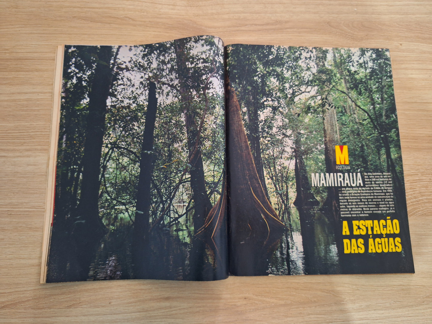 Revista Manchete 2117 (1992)