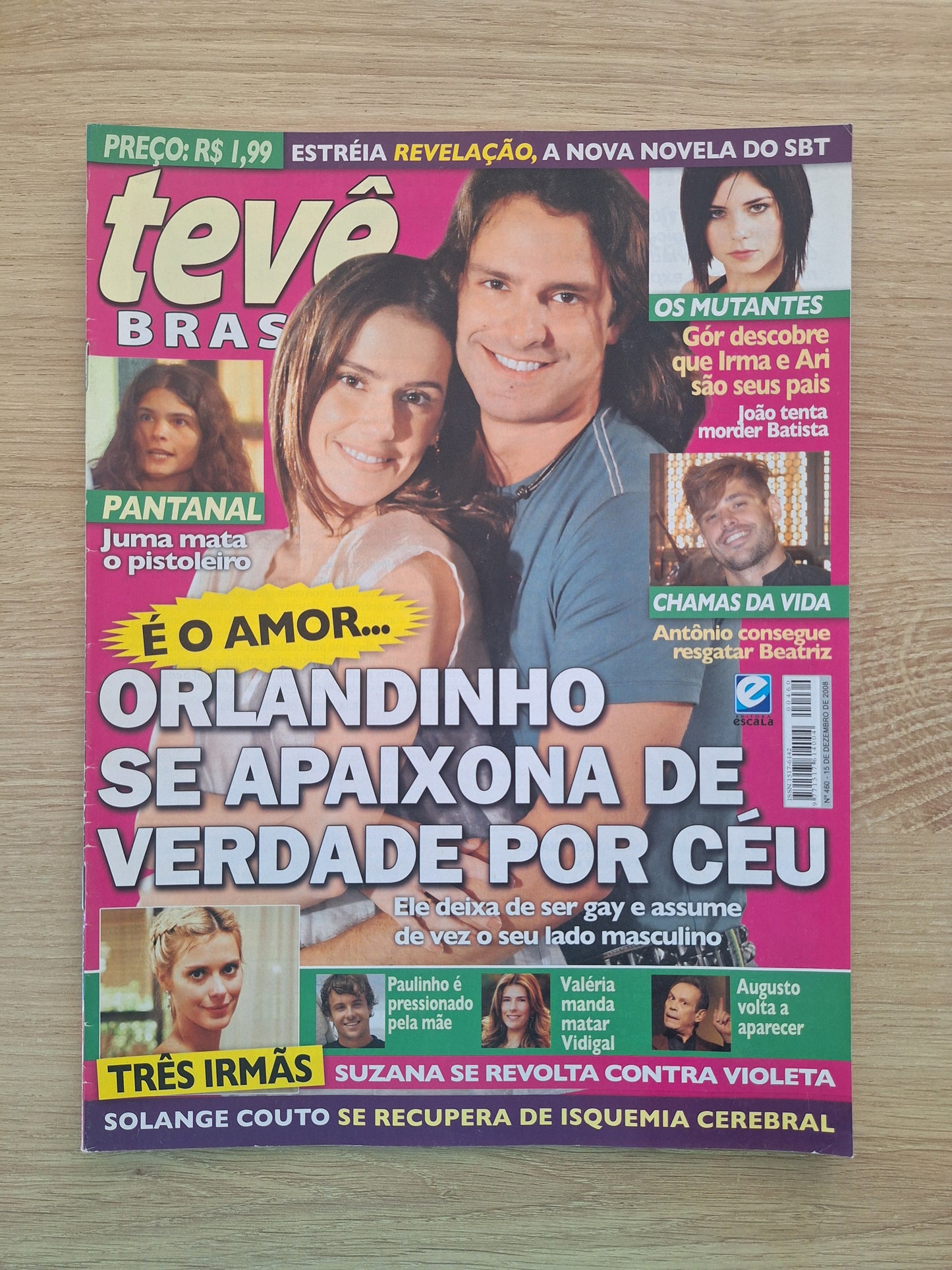 Revista Tv Brasil 460 (2008)