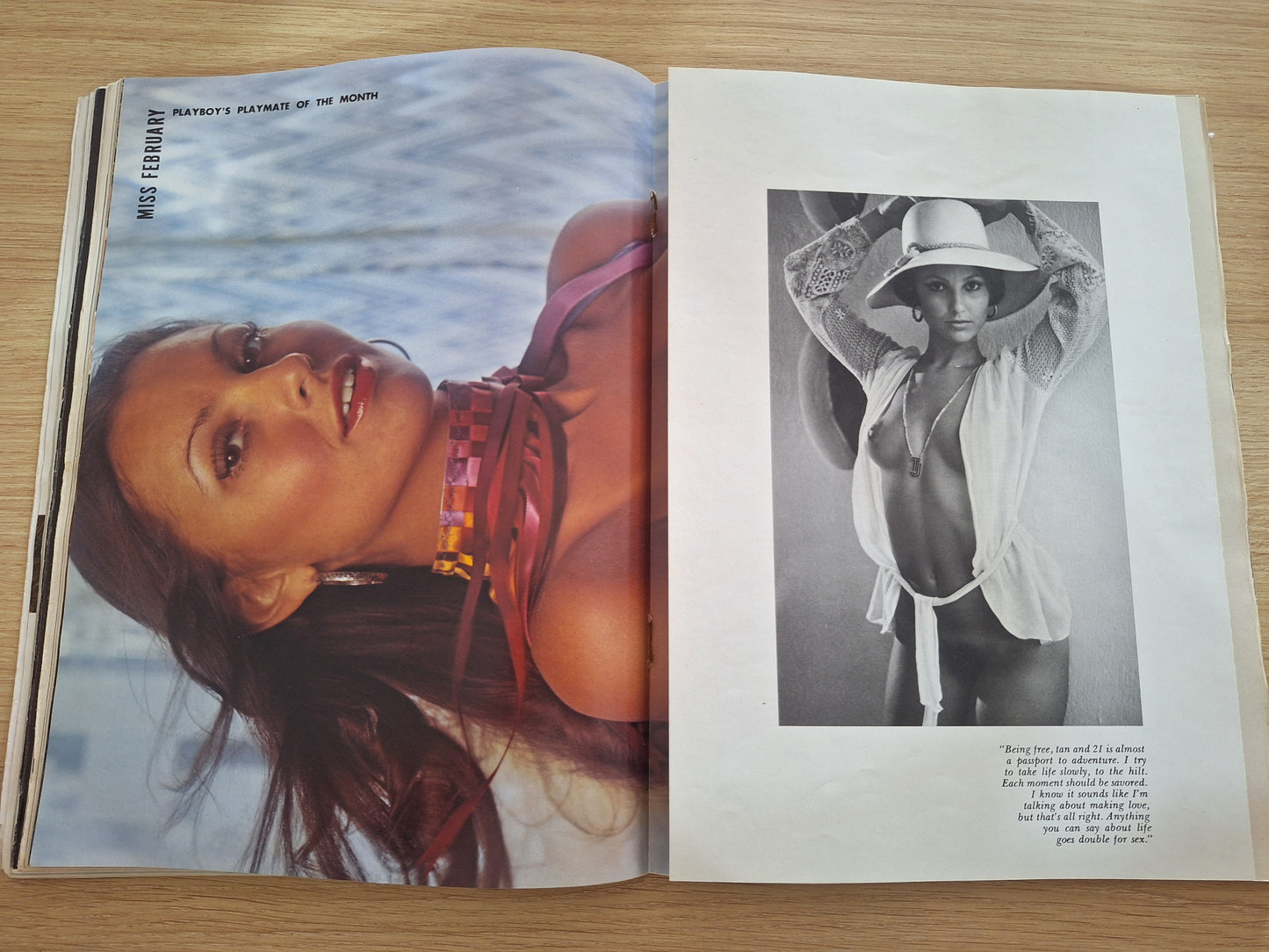 Revista Playboy Americana (1976)