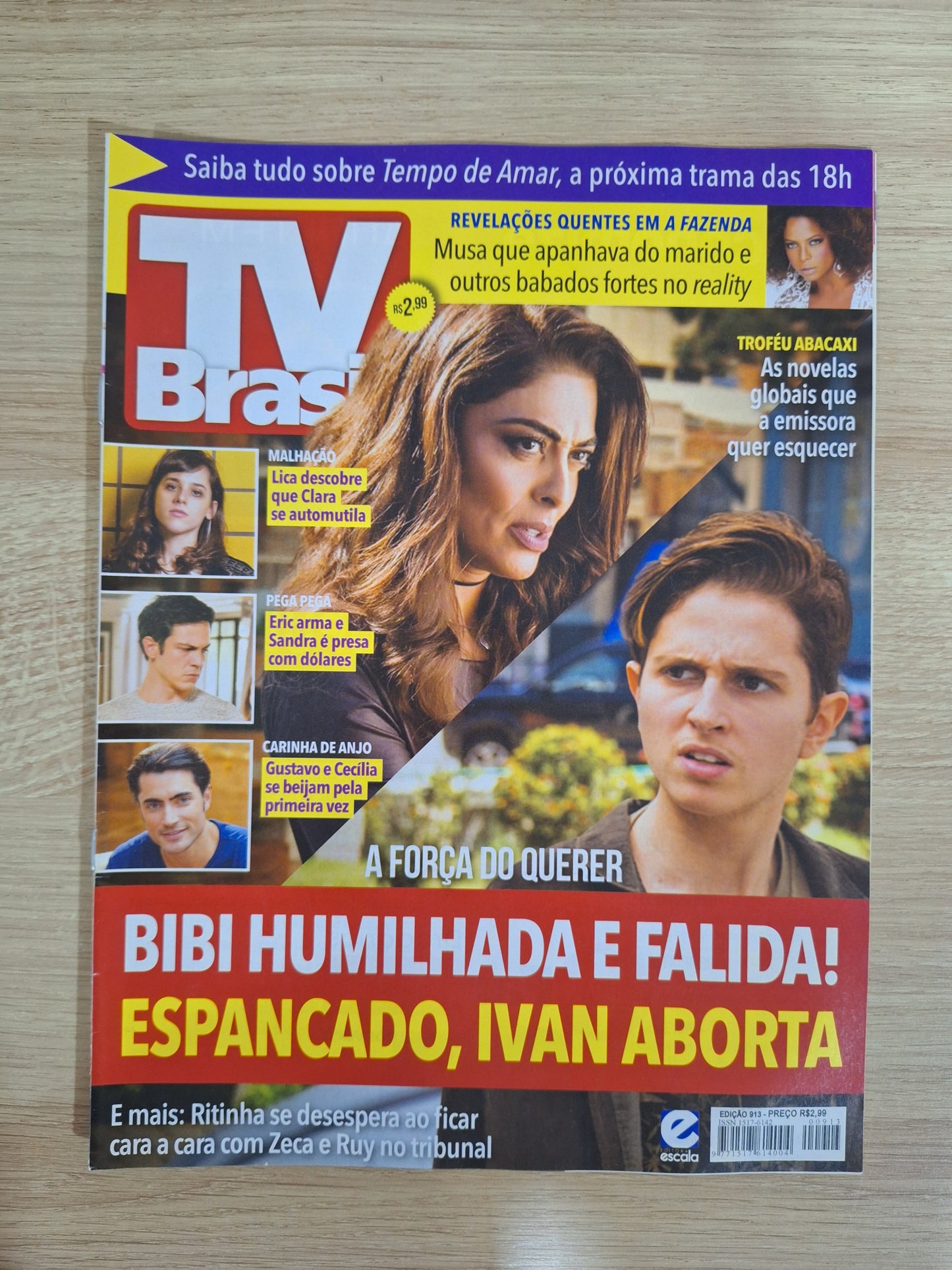 Revista Tv Brasil 913