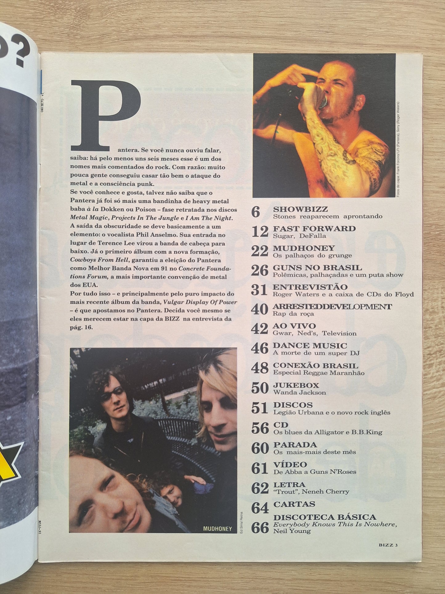 Revista Bizz 91 (1993)