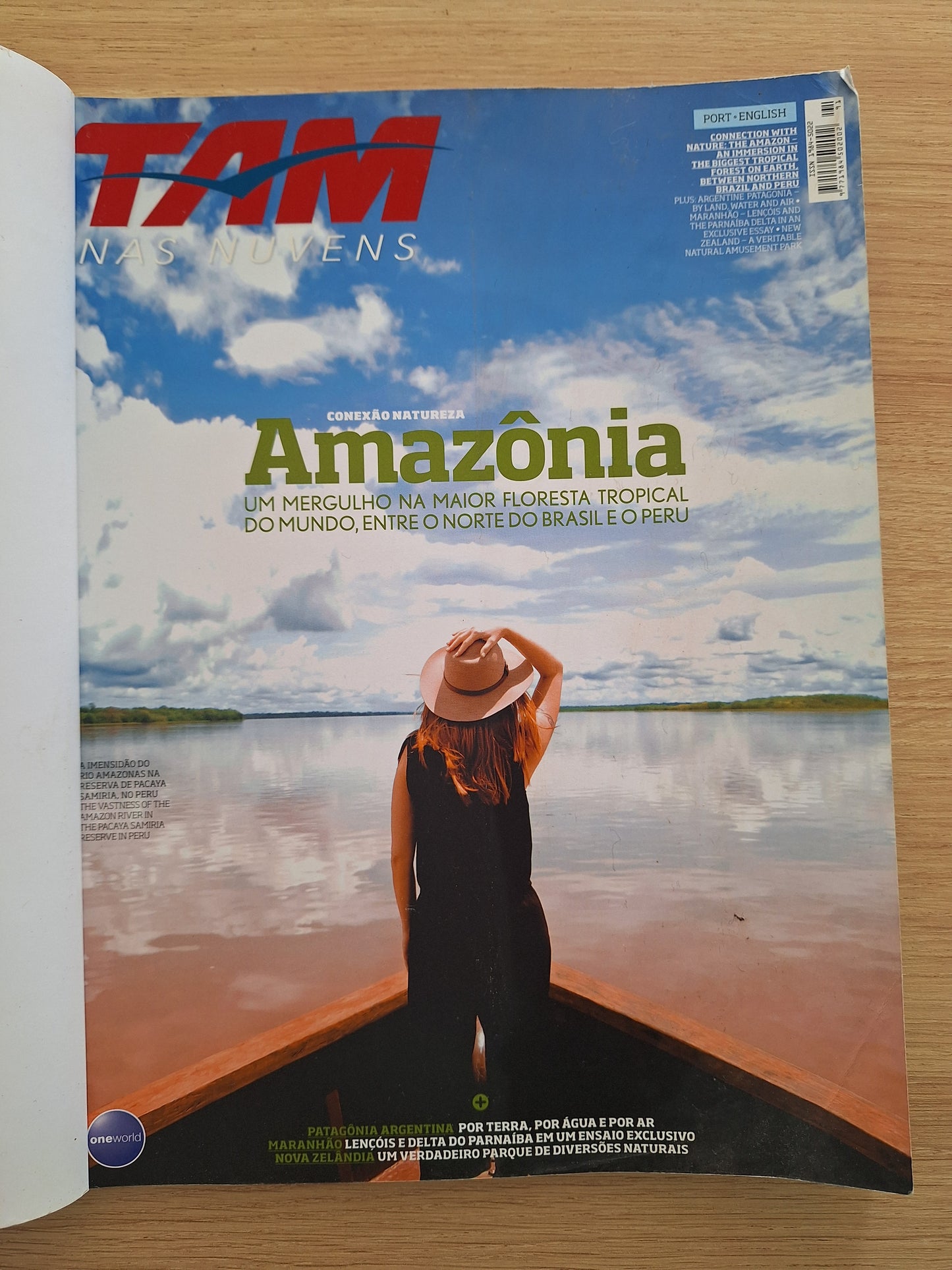 Revista TAM 91 (2015)