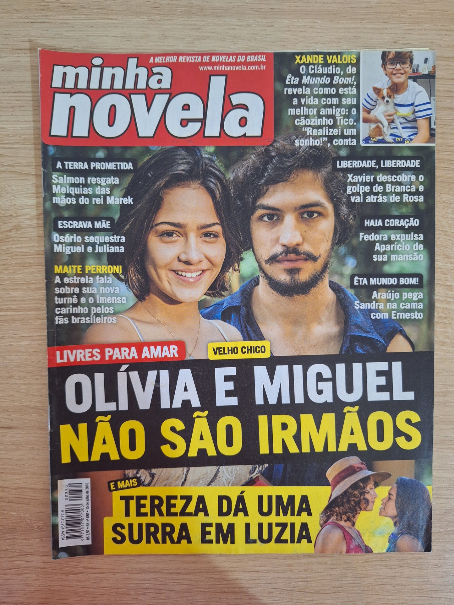Revista Minha Novela 880 (2016)