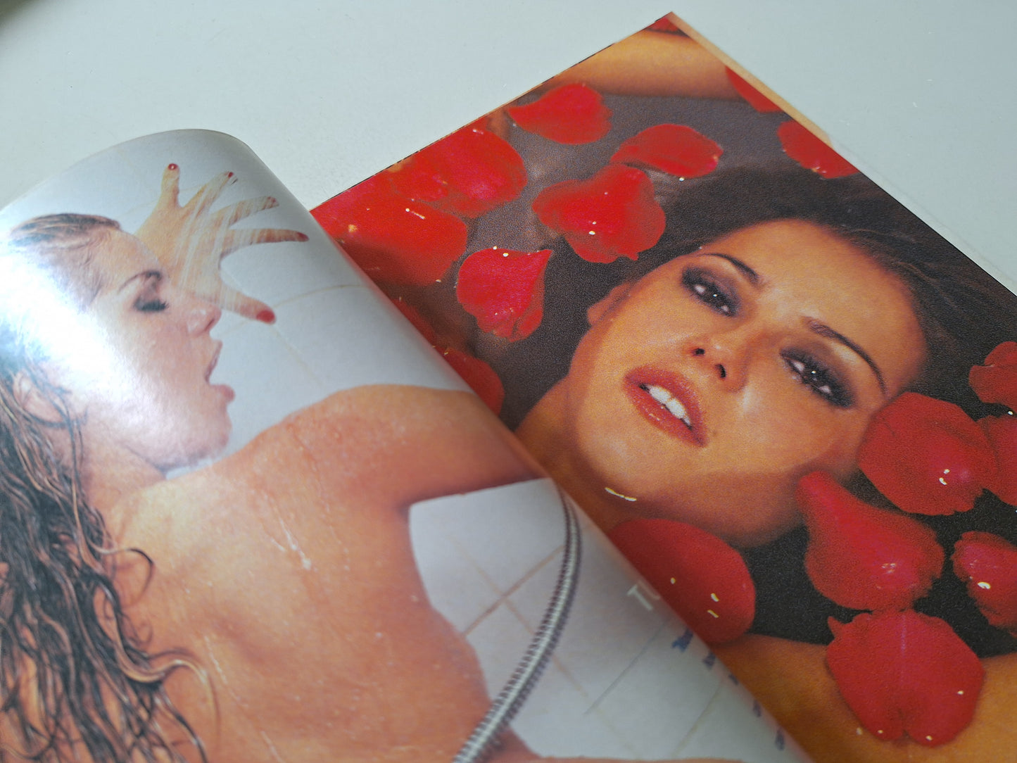 Playboy Nº 325