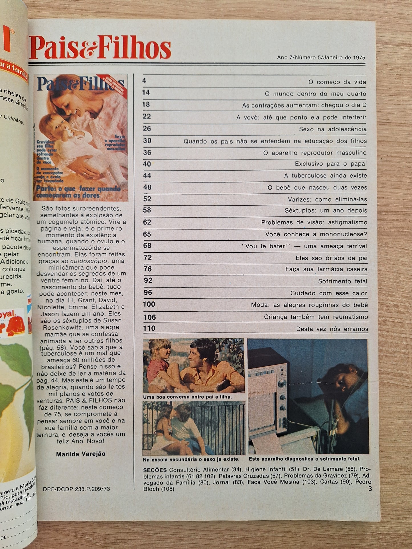 Revista Pais e Filhos