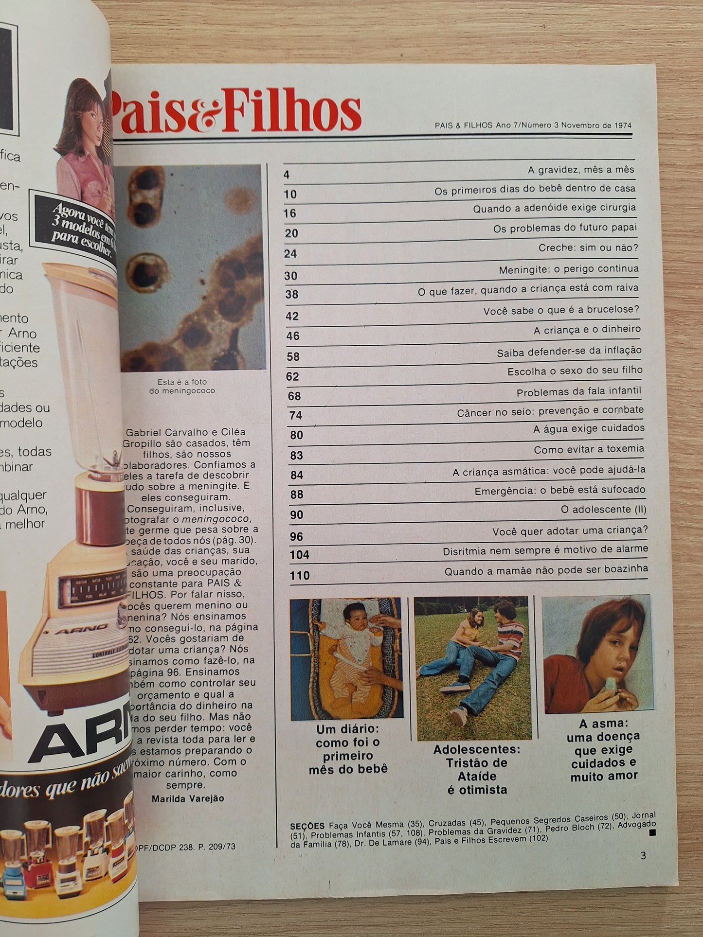 Revista Pais e Filhos (1974)