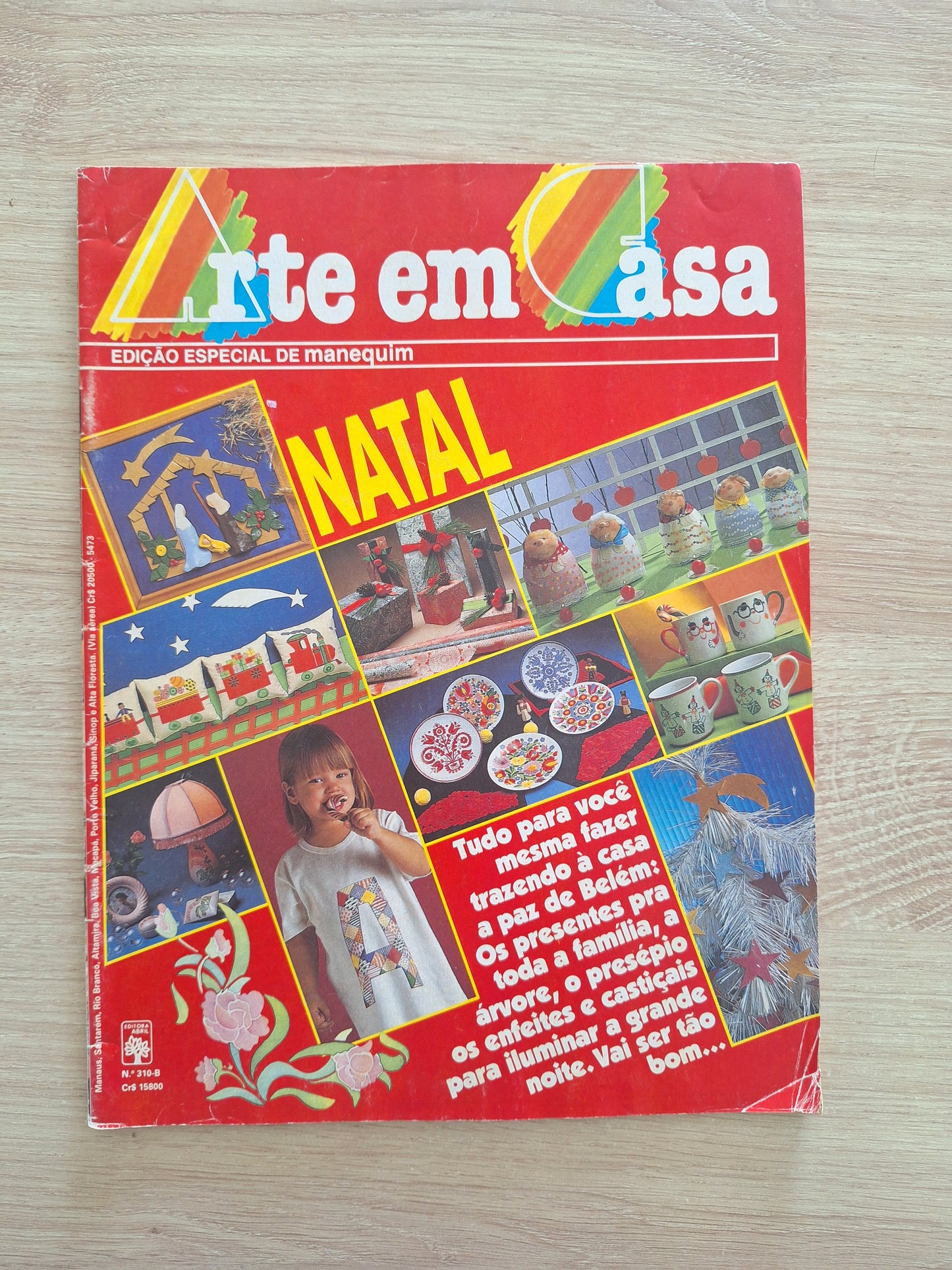 Revista Arte em Casa 310