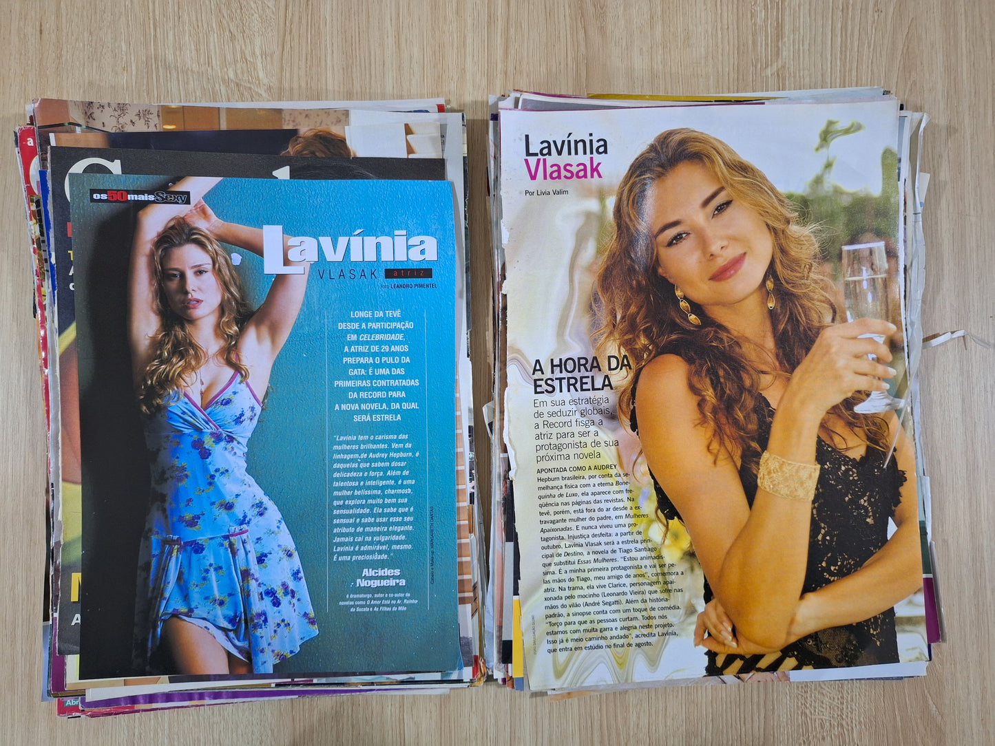 Lote Material Revista Lavínia Vlasak