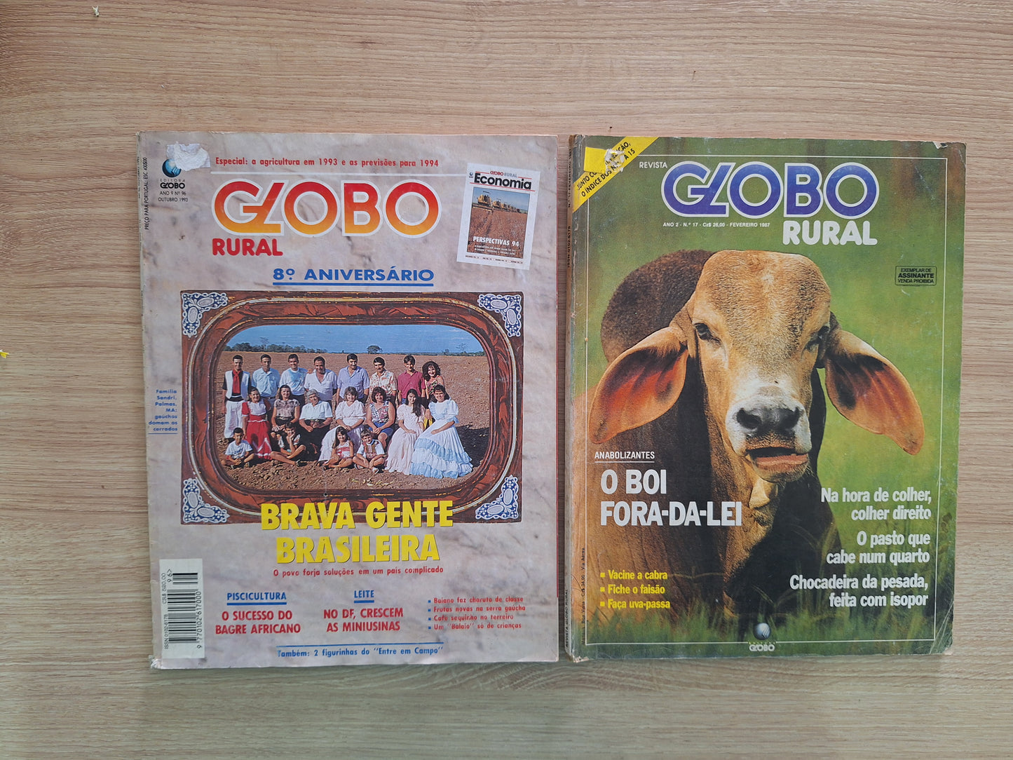 Revista Globo Rural