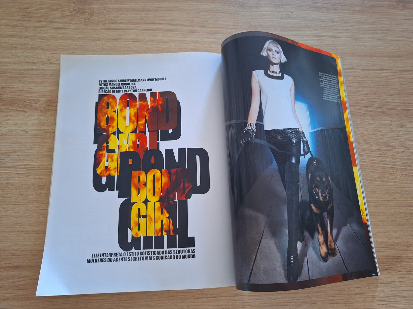 Revista Elle Brasil N° 294