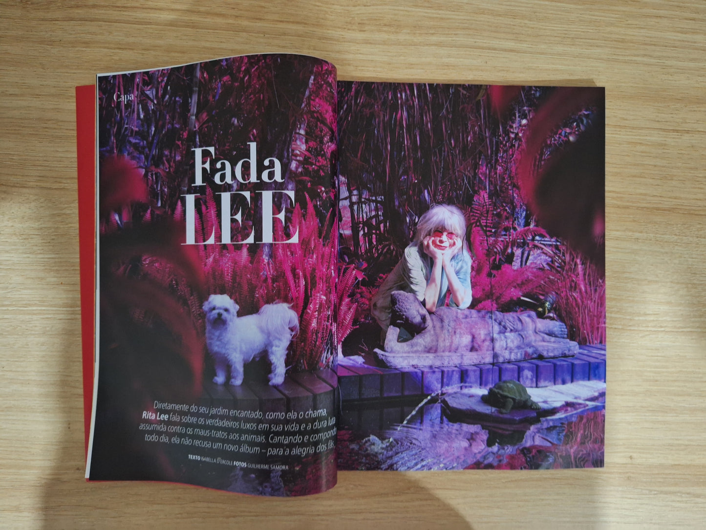 Revista Claudia Rita Lee
