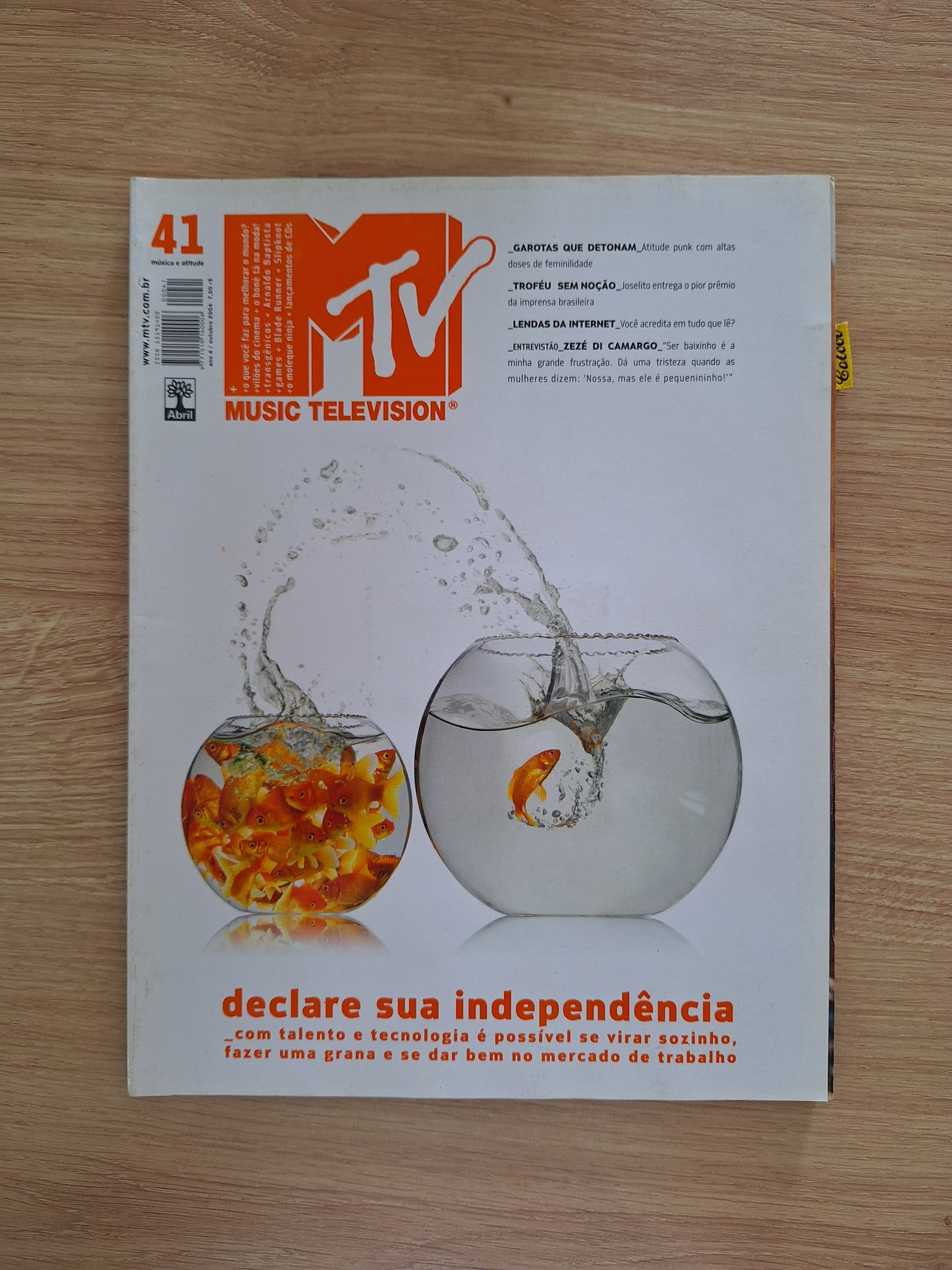 Revista Mtv 41