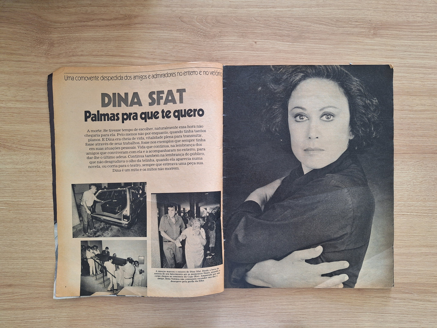 Revista Amiga Especial Dina Sfat