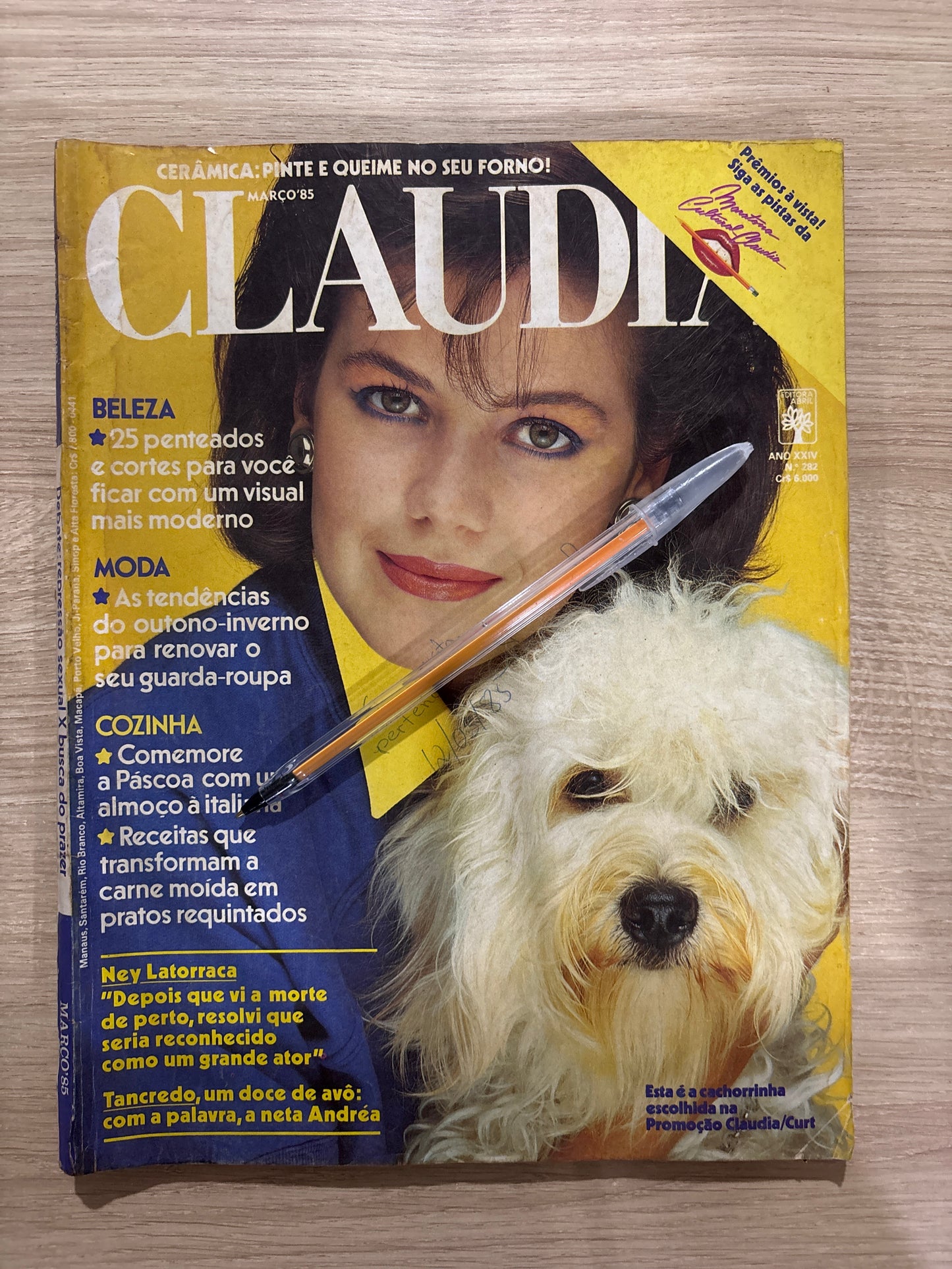 Revista Claudia 282 (1985)