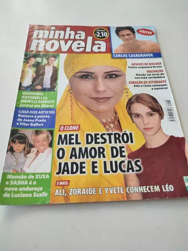 Minha Novela Nº 133