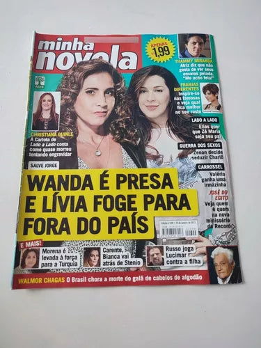 Minha Novela Nº 699