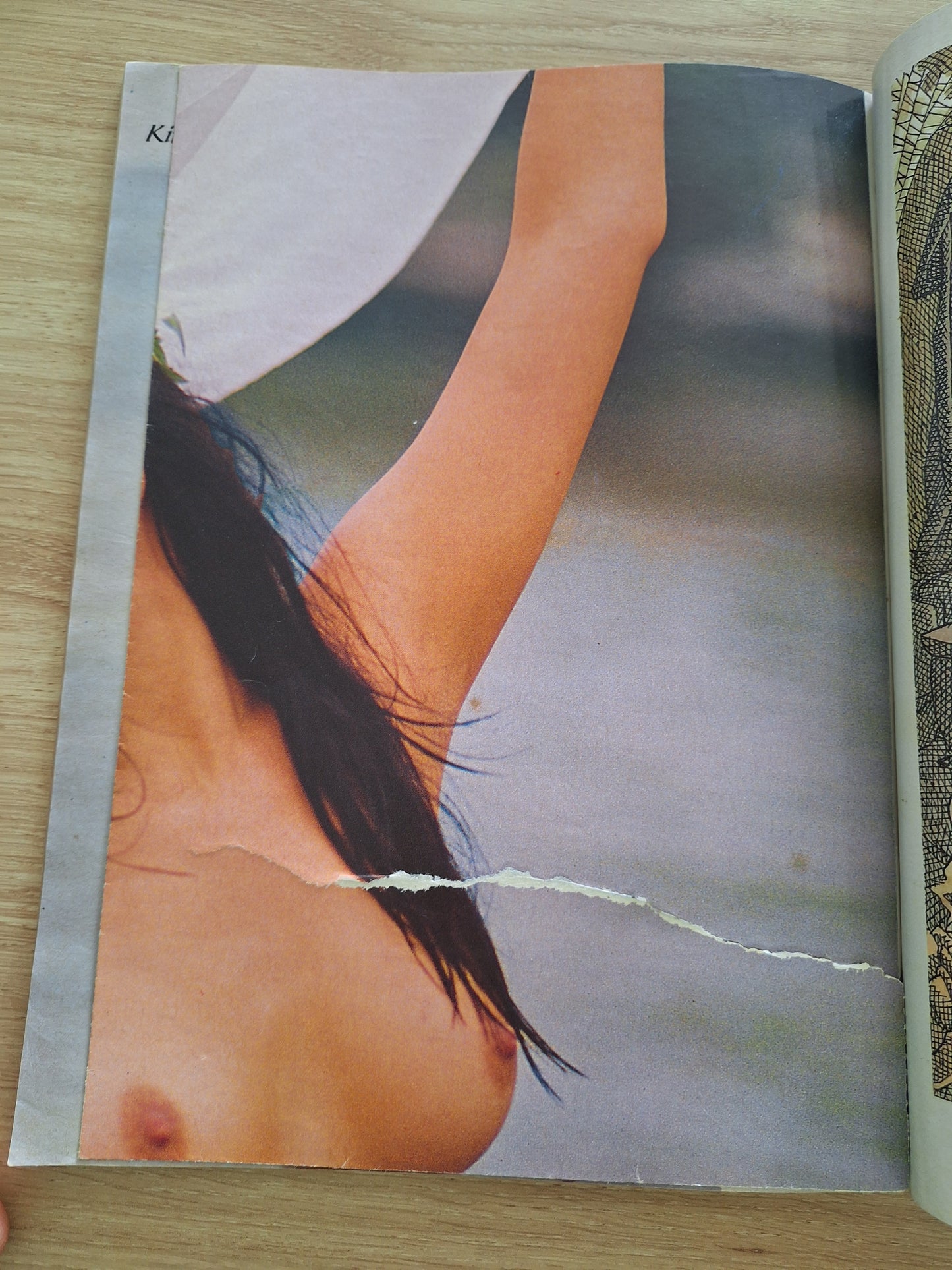 Revista Playboy 181 (1990)