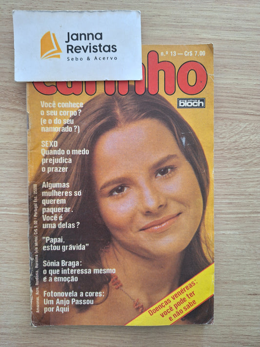 Revista Carinho Nº 13 (1977)
