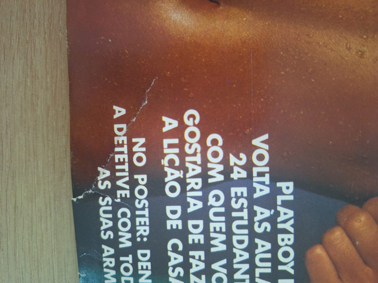 Revista Playboy 44 (1979)