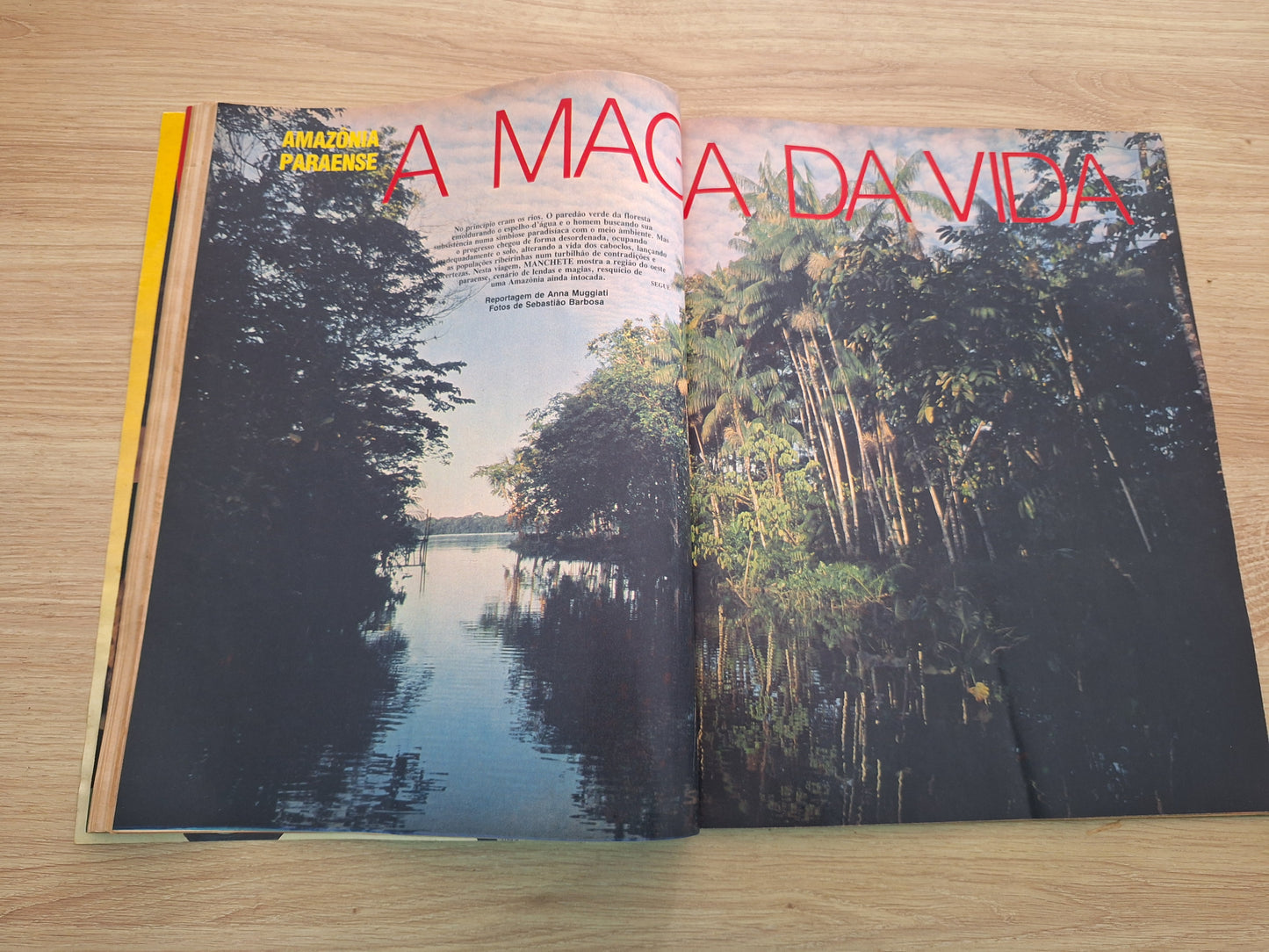 Revista Manchete 1924 (1989)