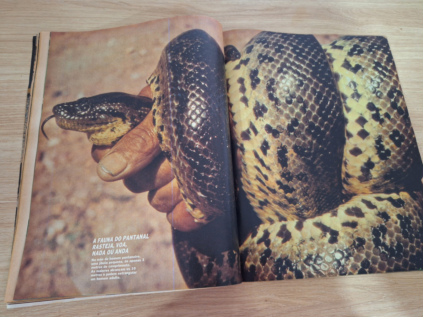 Revista Manchete 1895 (1988)