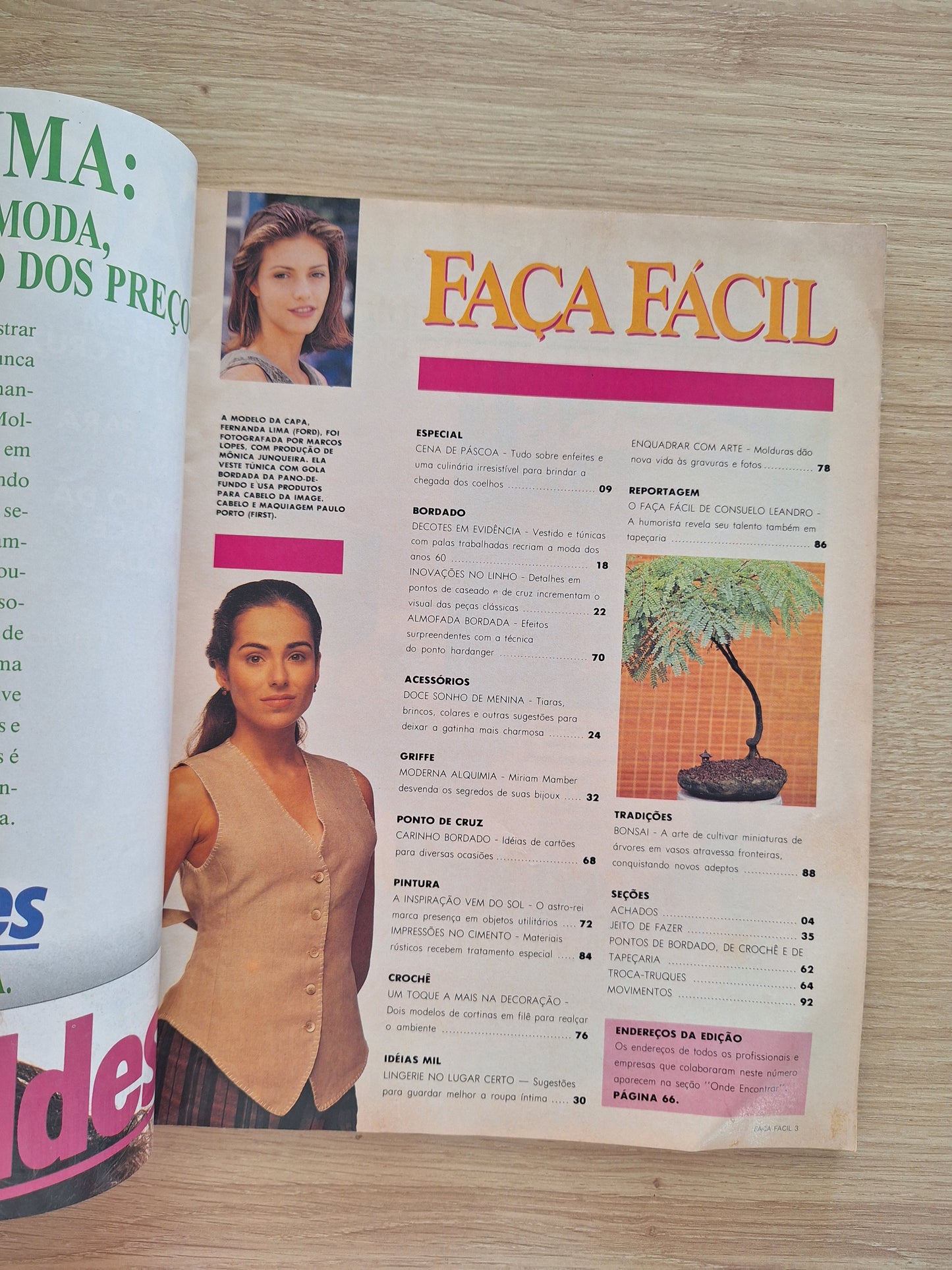 Revista Faça Fácil 110