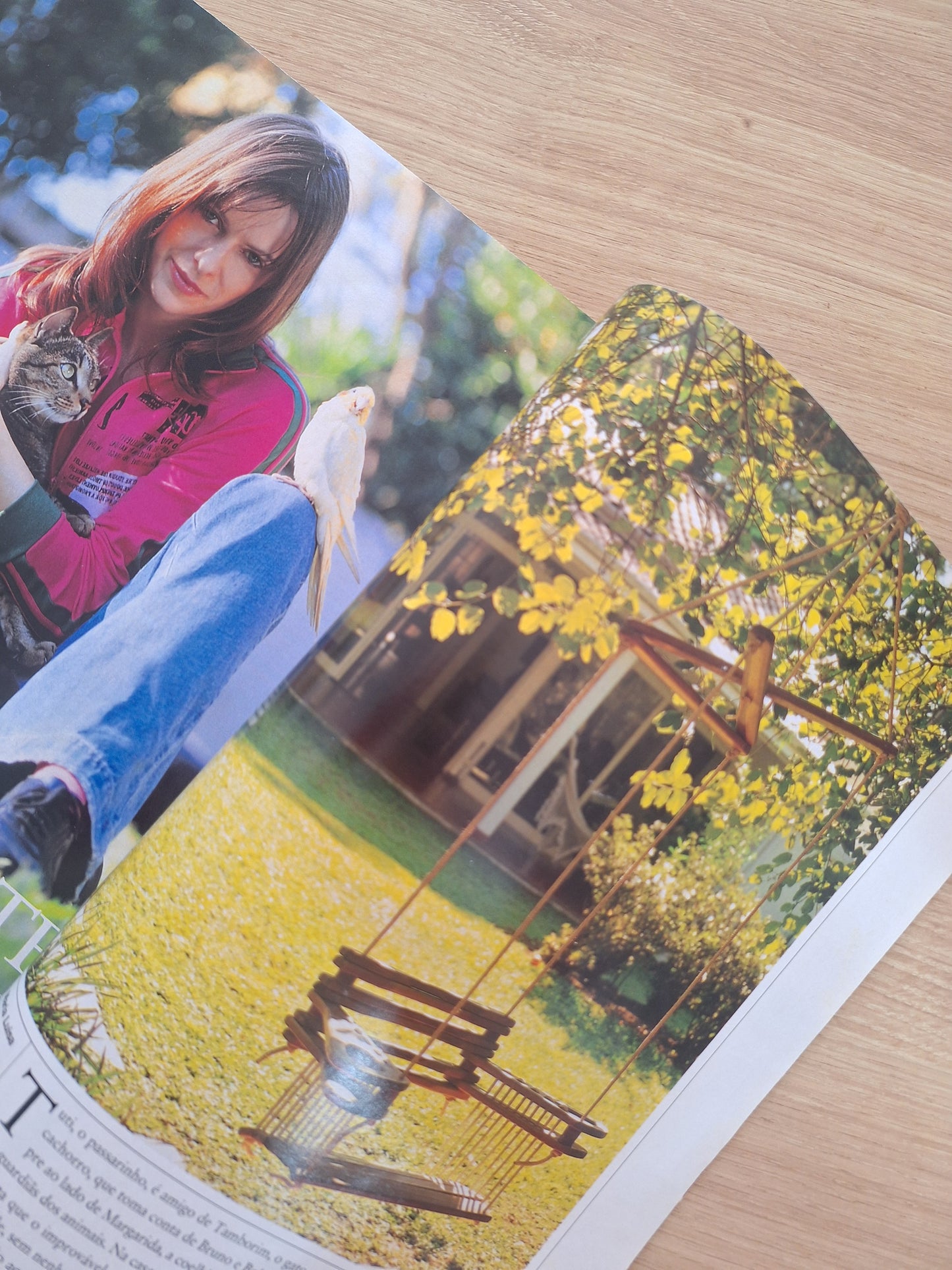 Revista Estilo de Vida 27 (2004)