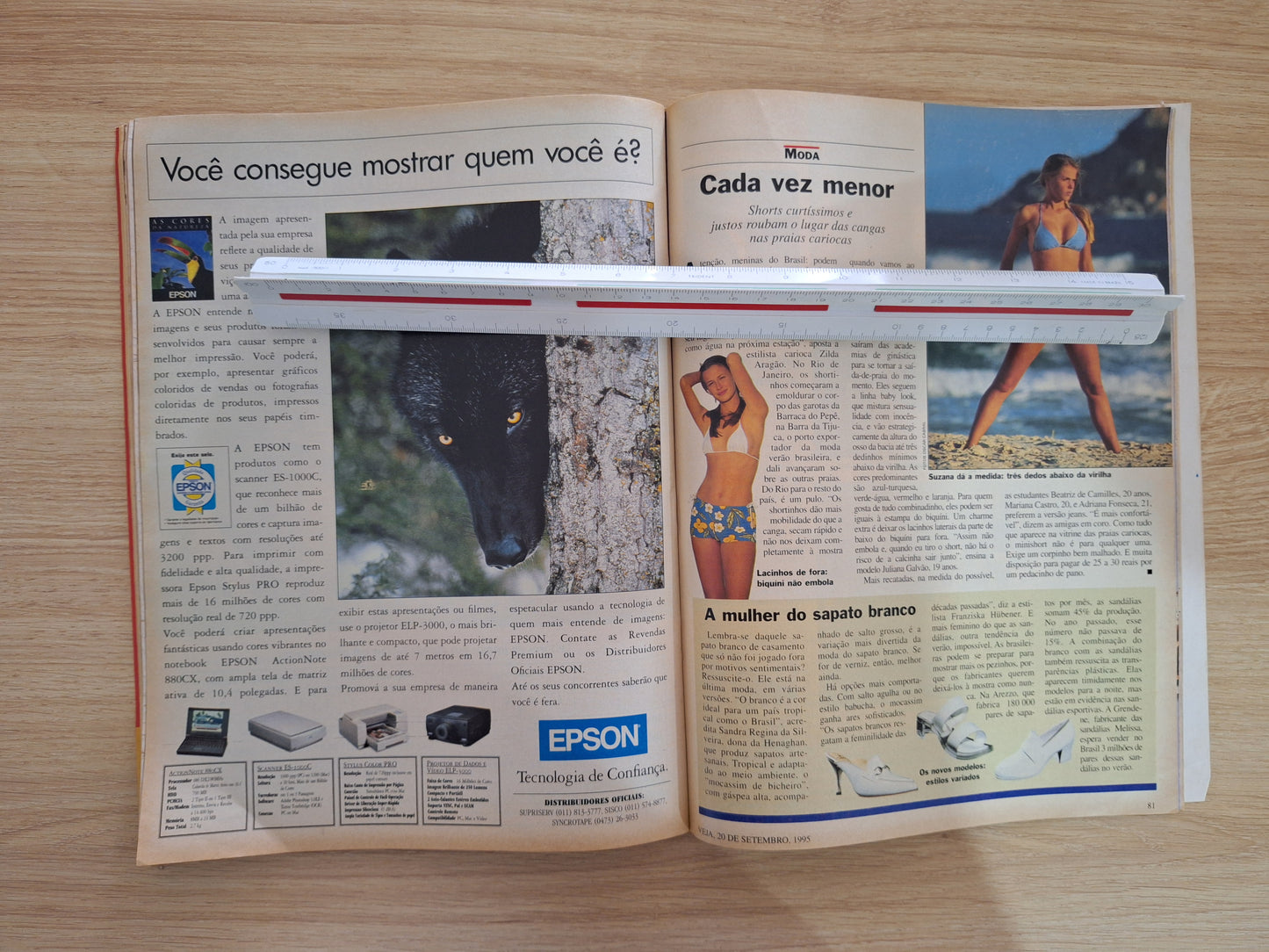 Revista Veja 1410 (1995)