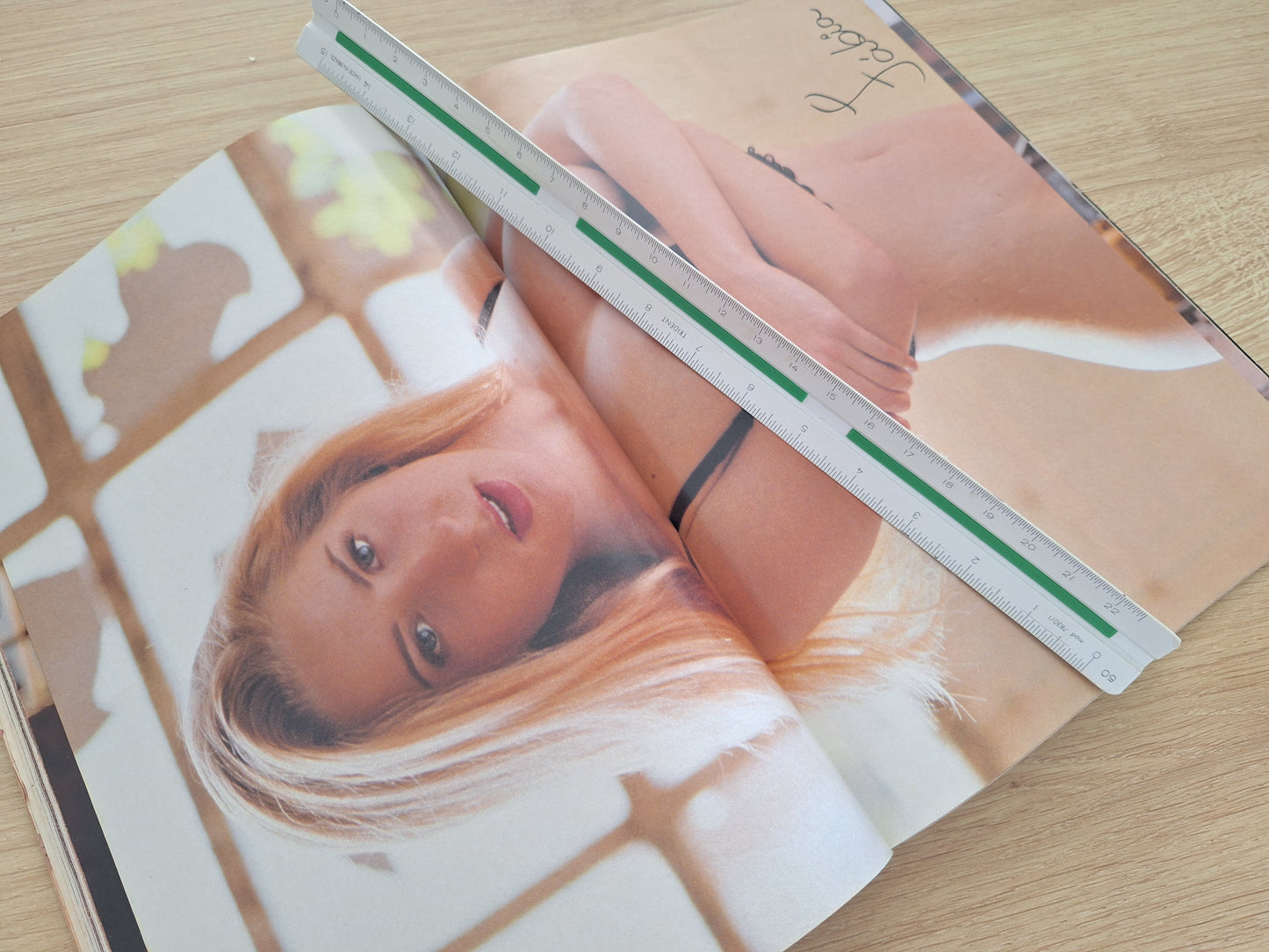 Revista Playboy 219 (1993)