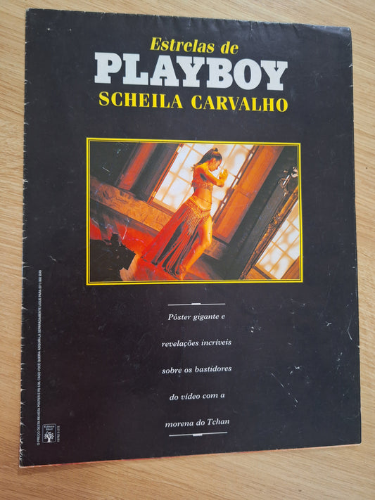 Playboy Pôster Gigante