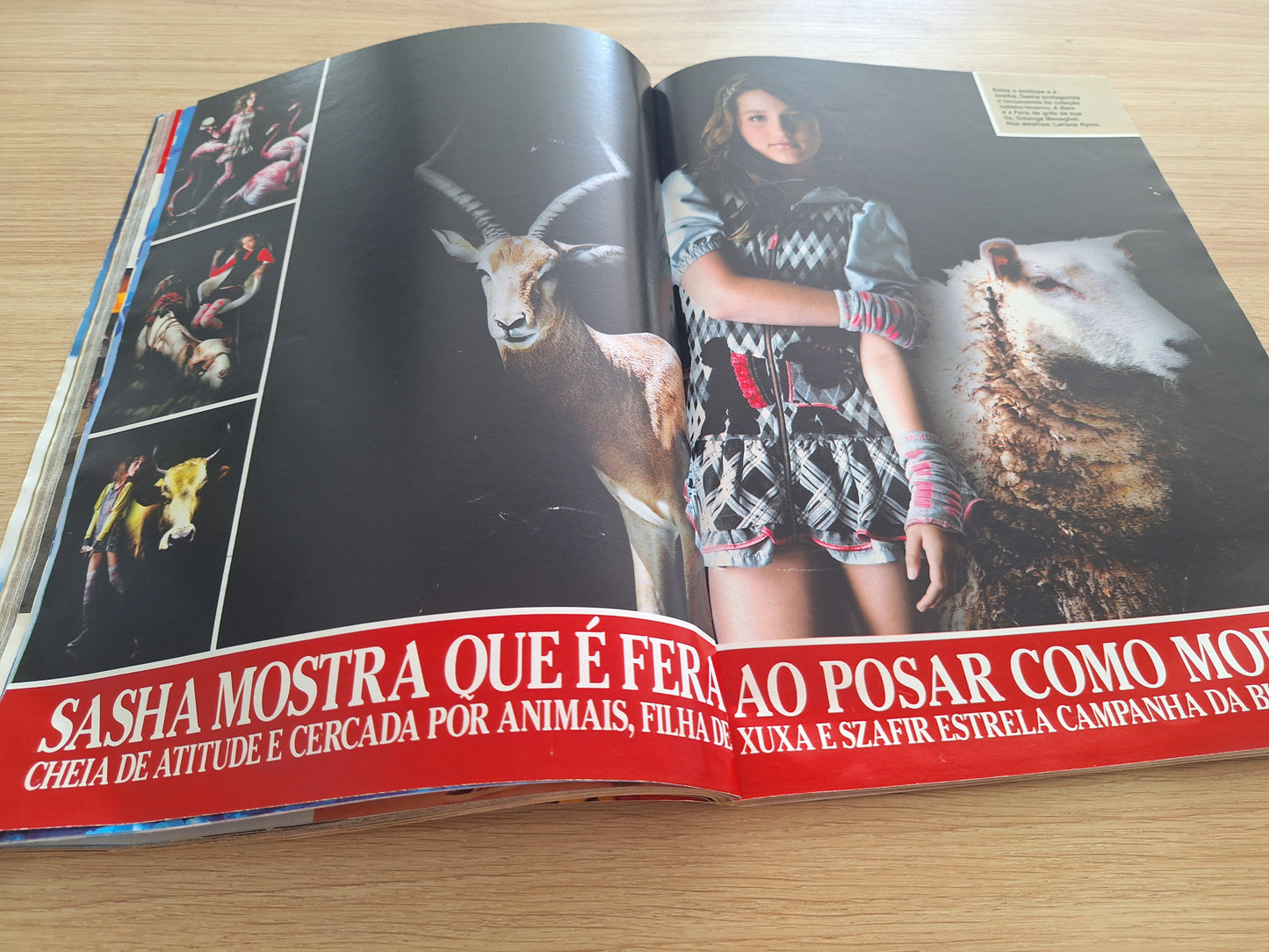 Revista Caras 802 (2009)