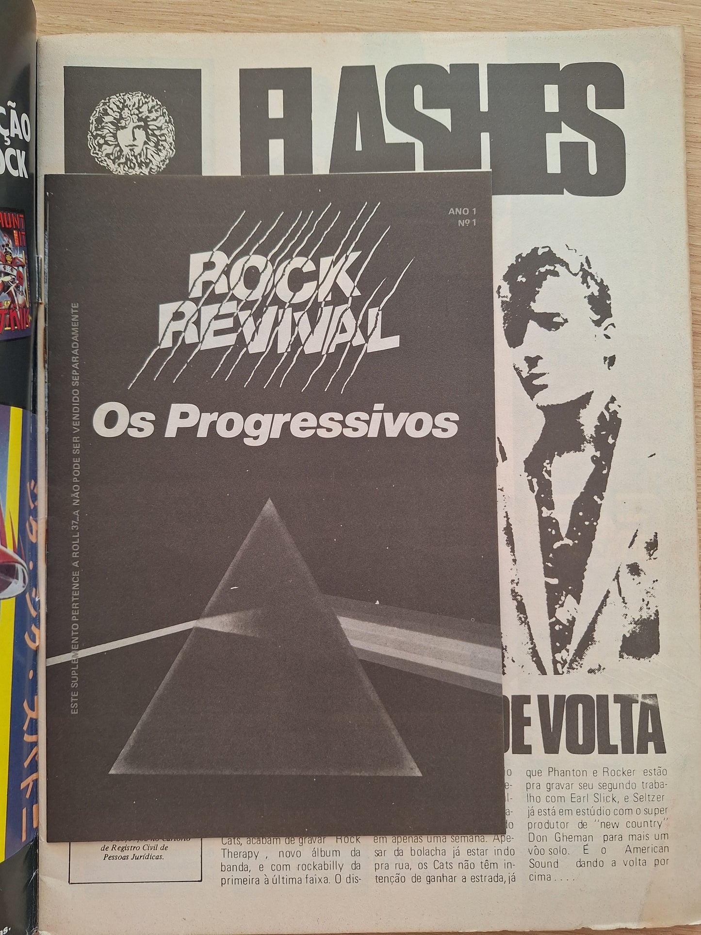 Revista Roll 37